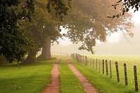 Chemin de campagne en Calvados